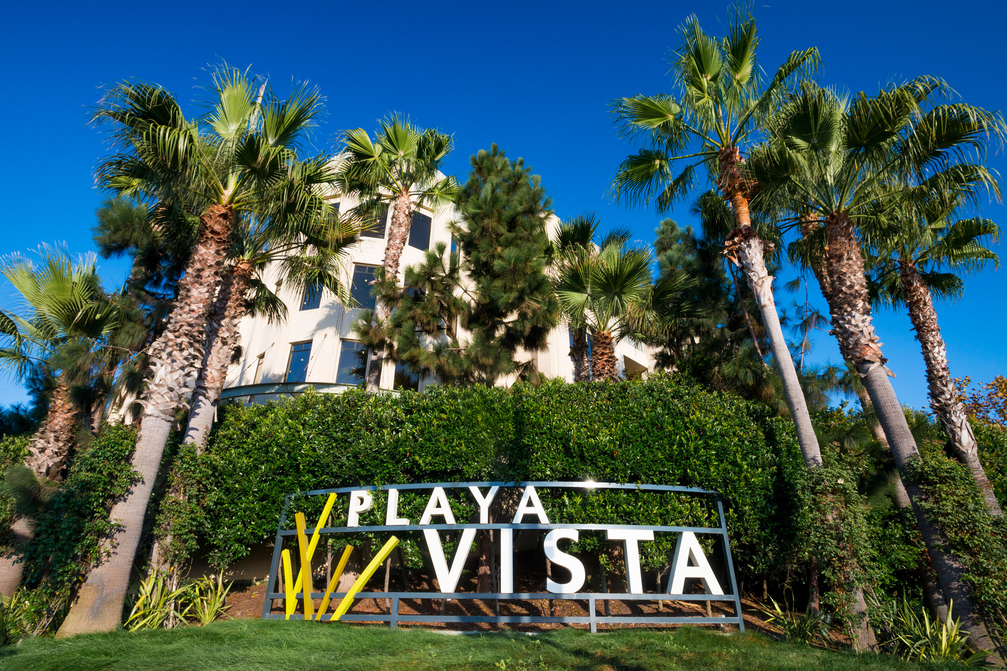 What's Up Winter Newsletter Playa Vista