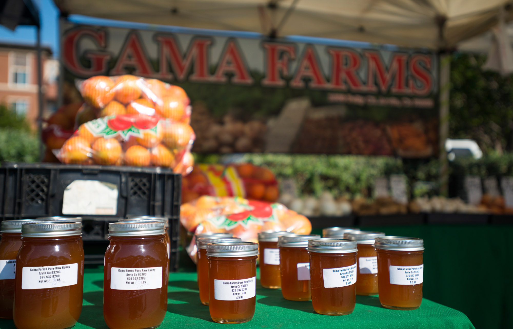 Farmers’ Market Fun Playa Vista