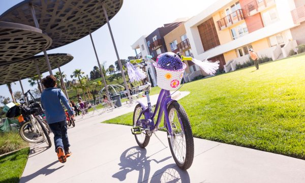 Bluff Creek Fields Archives Playa Vista