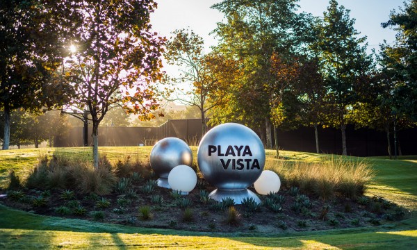 Explore Your Options in Playa Vista