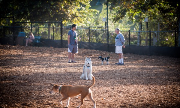 Playa Vista Is Paw-Tastic