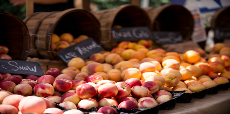 Playa-Vista-Farmers-Market-Web