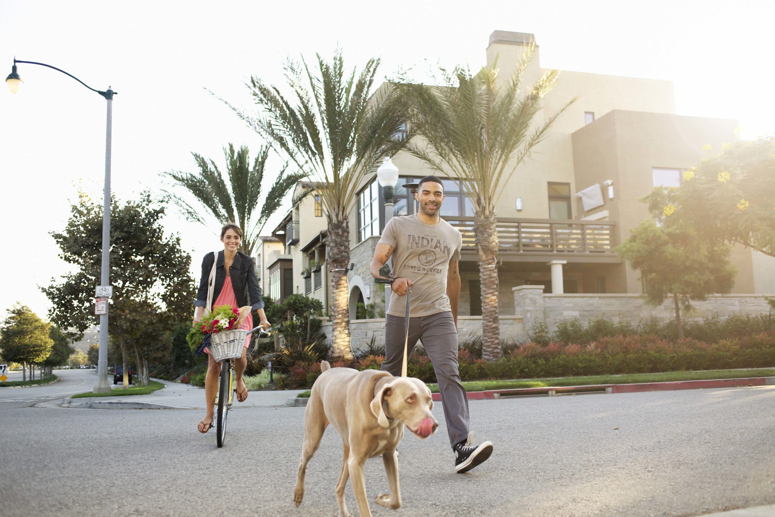 Playa Vista bikes and dog walking